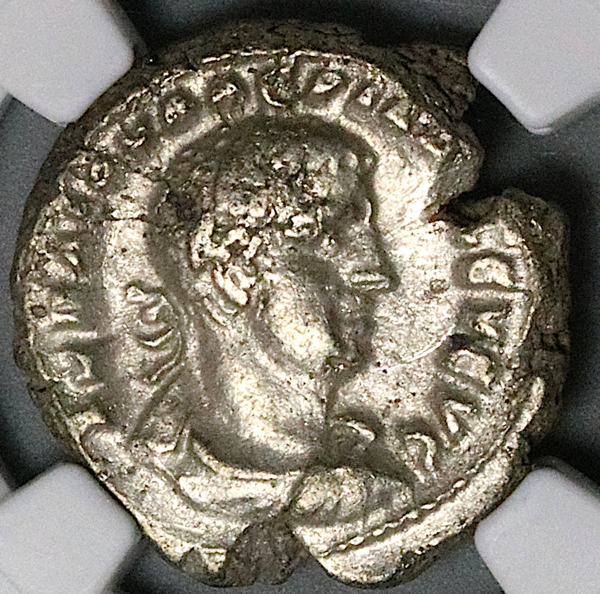 253 NGC XF Valerian I Egypt Alexandria Tetradrachm Zeus Bust Year 1 Co –  Caesar's Ghost Numismatics