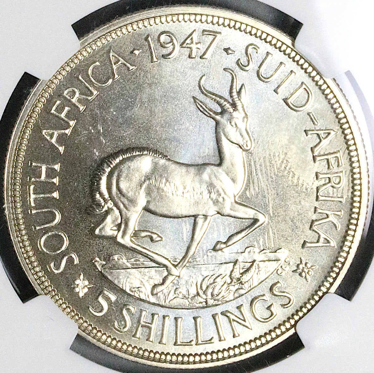 1947 NGC PF 64 South Africa 5 Shillings George VI Proof Springbok